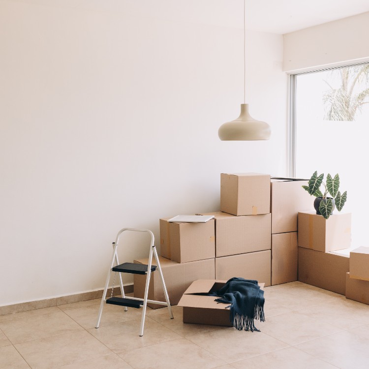 Property solutions services in Farmers Branch, TX